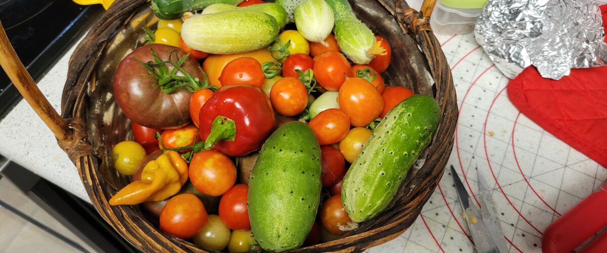 Photo of a basket full of garden-grown vegetables: cucumbers, peppers, tomatoes.